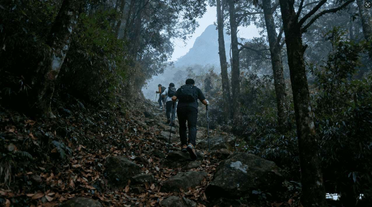 挂梯子加速器应用试用攻略与体验